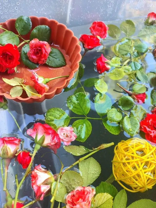 A sensory tray of flowers